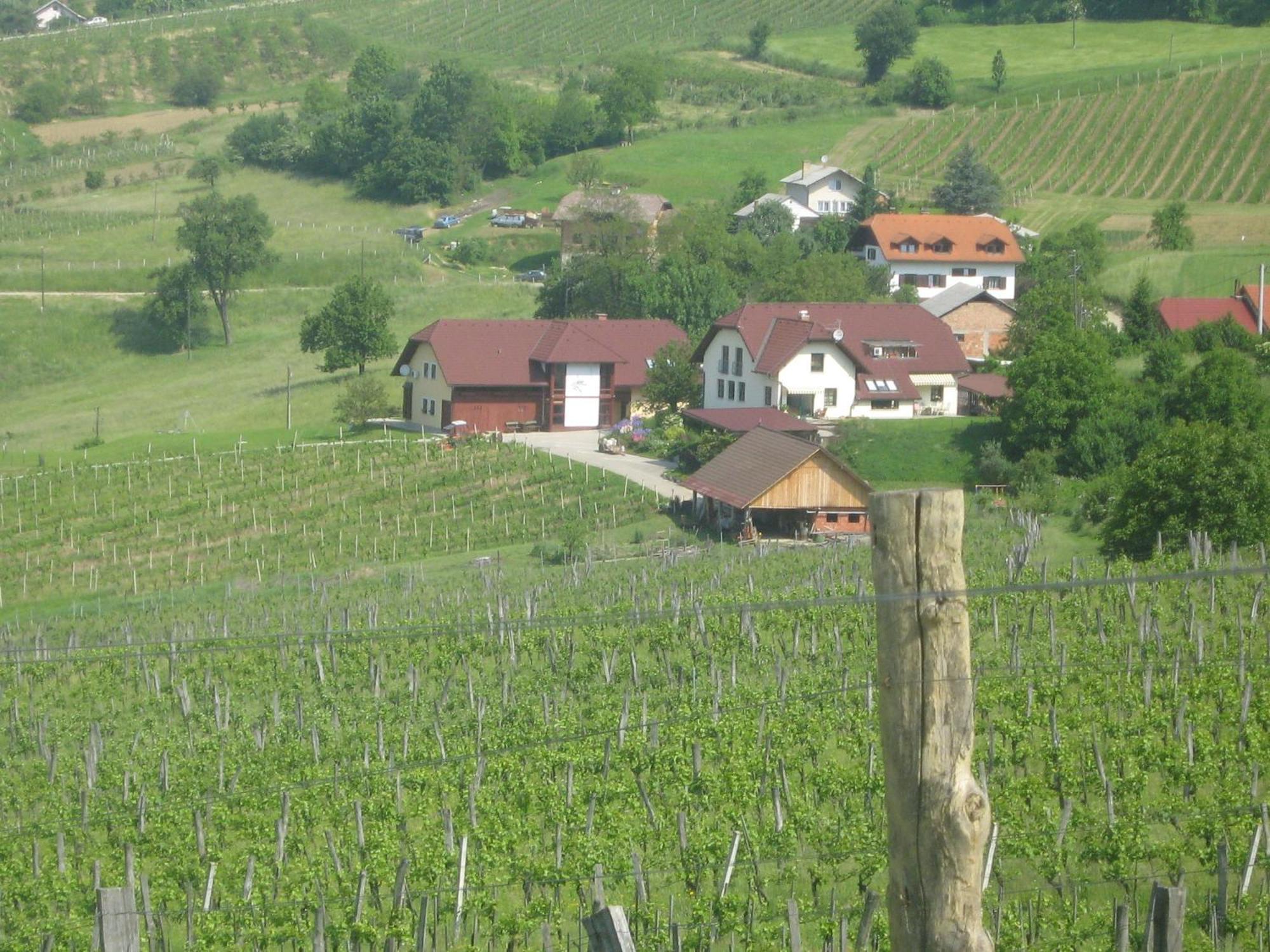 Guest house Tourist Farm Joannes